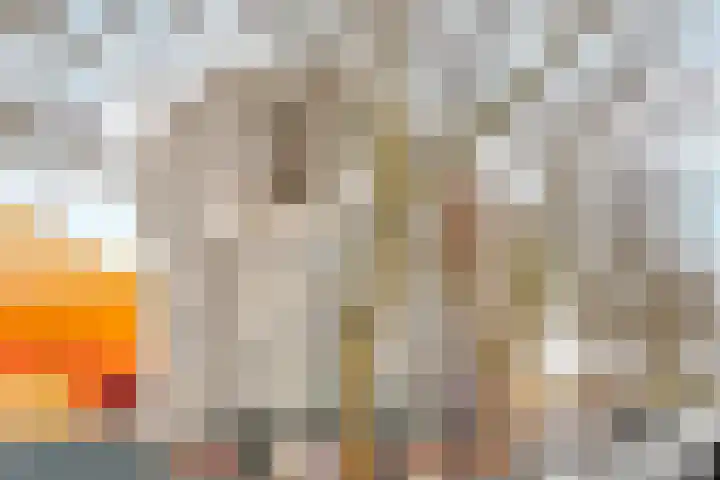 Agoraweg 123 Lelystad thumbnail 62