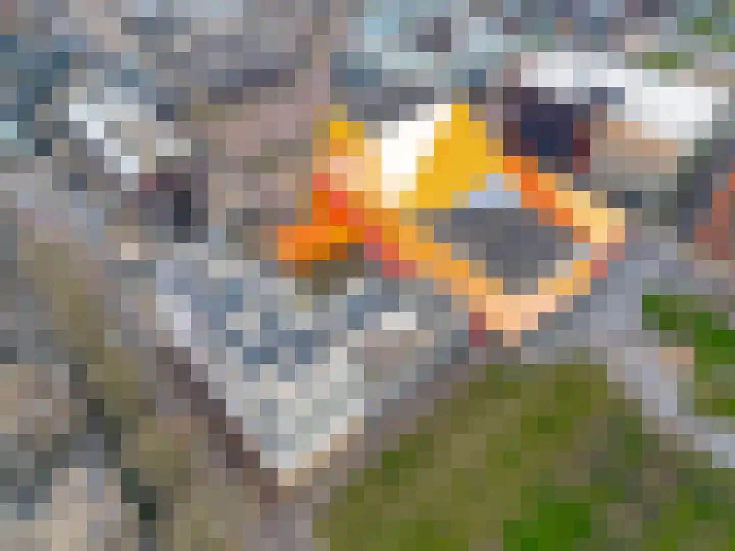 Agoraweg 141 Lelystad thumbnail 34