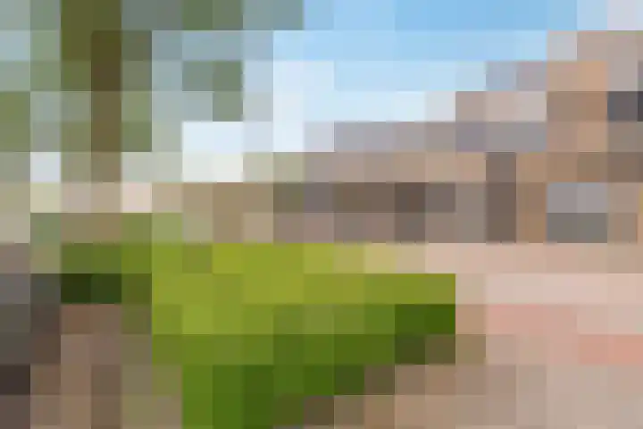 Agoraweg 175 Lelystad thumbnail 33