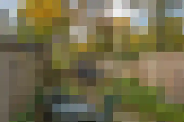 Ahuislanden 31 Enschede thumbnail 27