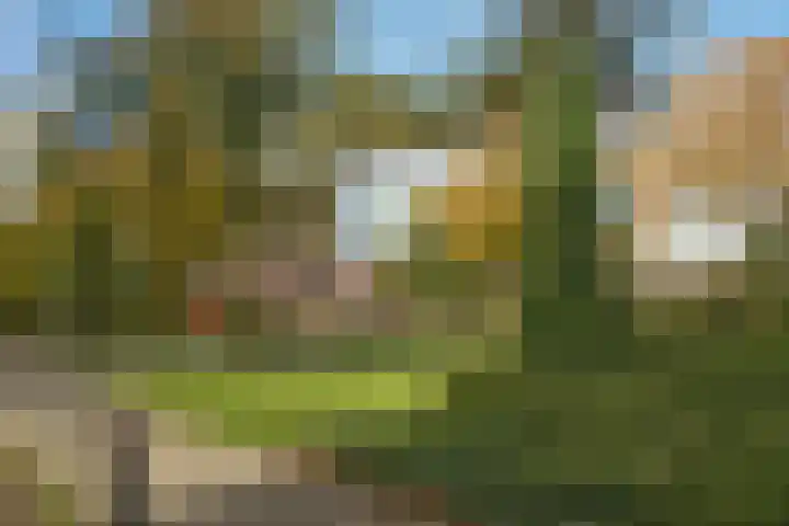 Ahuislanden 31 Enschede thumbnail 30