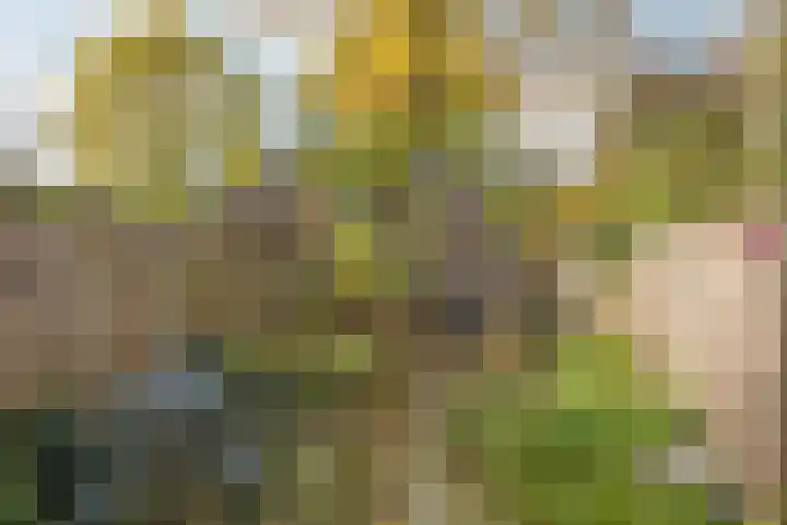 Ahuislanden 31 Enschede thumbnail 4