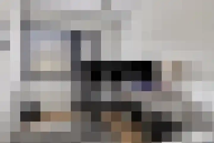Aïdaschouw 53 Zoetermeer thumbnail 21