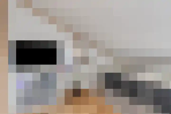 Aïdaschouw 53 Zoetermeer thumbnail 25
