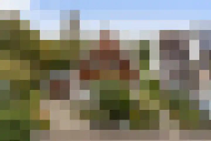 Akasiahôf 12 en Stiens