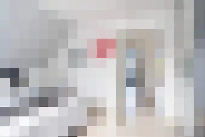 Akasiahôf 24 Stiens thumbnail 27