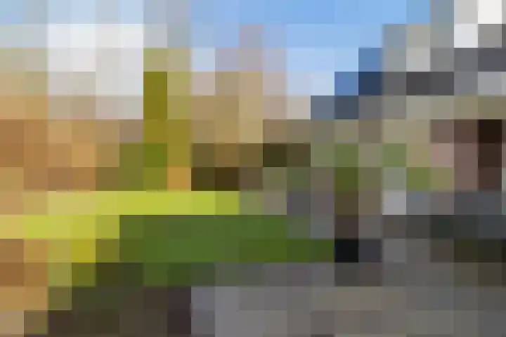 Akasiahôf 24 Stiens thumbnail 36