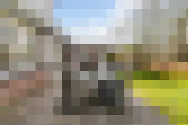 Akasiahôf 24 Stiens thumbnail 37