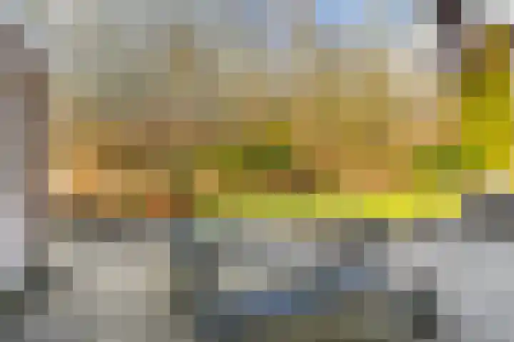 Akasiahôf 24 Stiens thumbnail 4