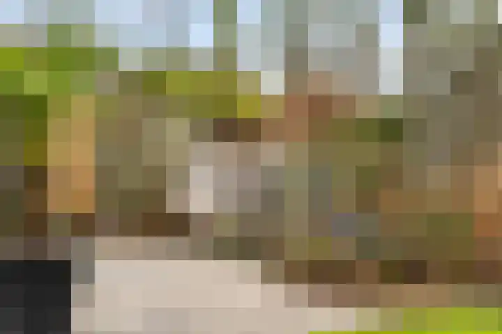 Akasiahôf 24 Stiens thumbnail 40