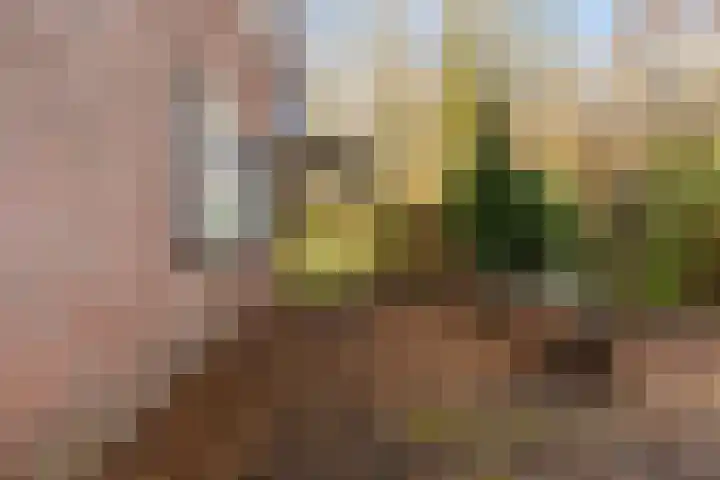 Akasiahôf 24 Stiens thumbnail 42
