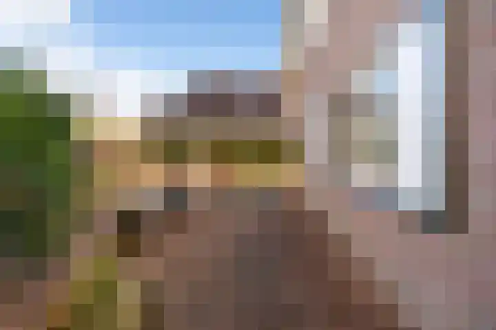 Akasiahôf 24 Stiens thumbnail 43