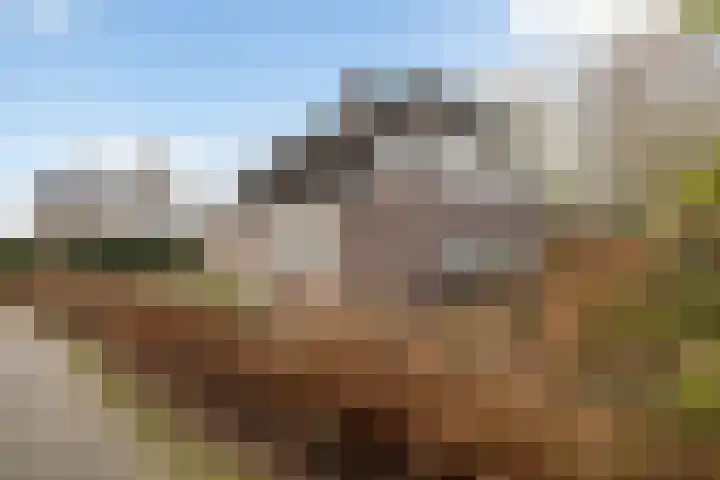 Akasiahôf 24 Stiens thumbnail 44