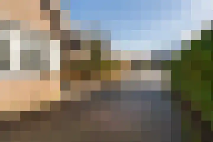 Akasiahôf 24 Stiens thumbnail 46