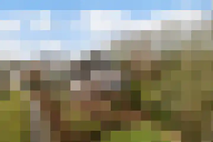Akasiahôf 24 Stiens thumbnail 49