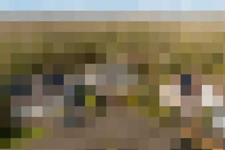 Akasiahôf 24 Stiens thumbnail 50