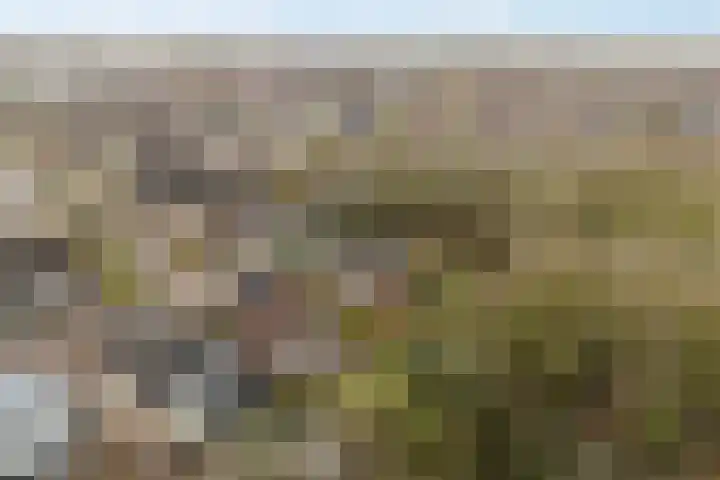 Akasiahôf 24 Stiens thumbnail 54