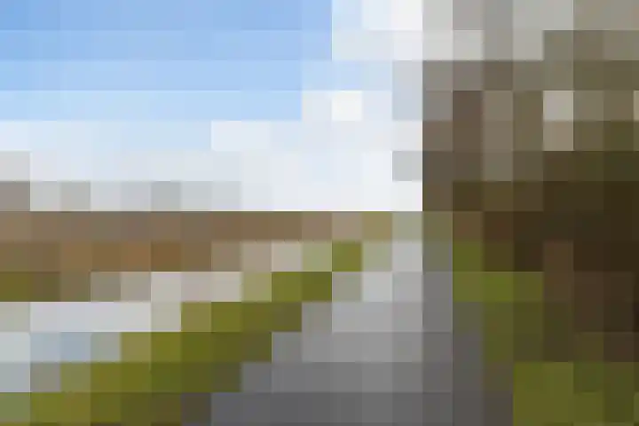 Akasiahôf 24 Stiens thumbnail 57