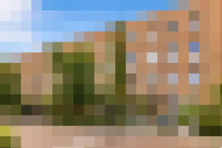 Akbarstraat 55 Amsterdam thumbnail 41