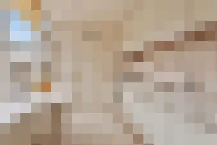Akelei 25 Borne thumbnail 11