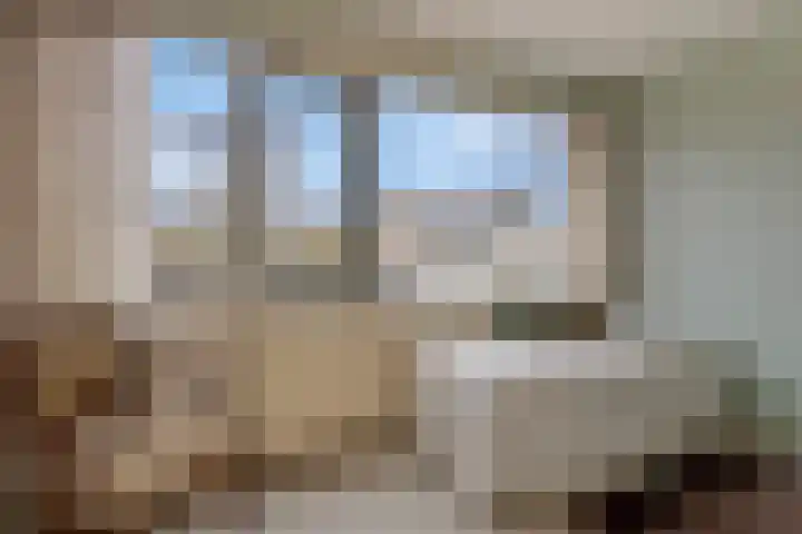 Akelei 25 Borne thumbnail 22