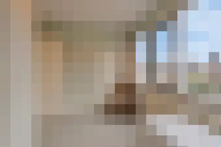 Akelei 25 Borne thumbnail 23