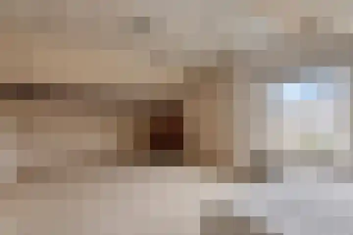 Akelei 25 Borne thumbnail 29