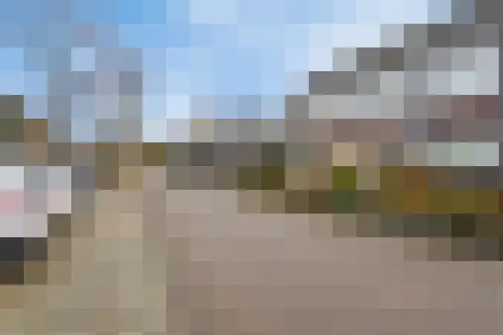 Akelei 25 Borne thumbnail 36