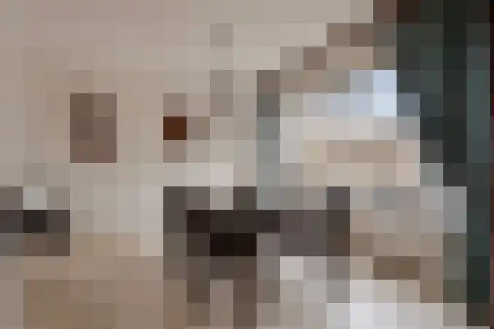 Akelei 25 Borne thumbnail 5