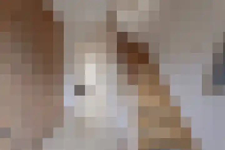 Akelei 25 Borne thumbnail 7