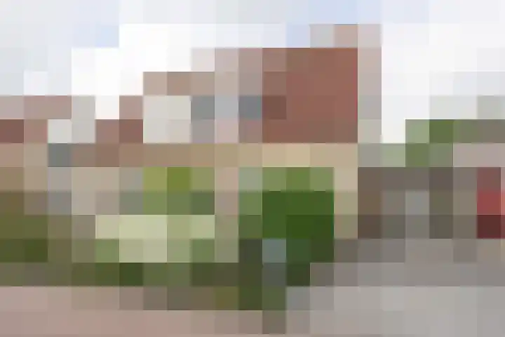 Akelei 35 in Westerhaar-Vriezenveensewijk