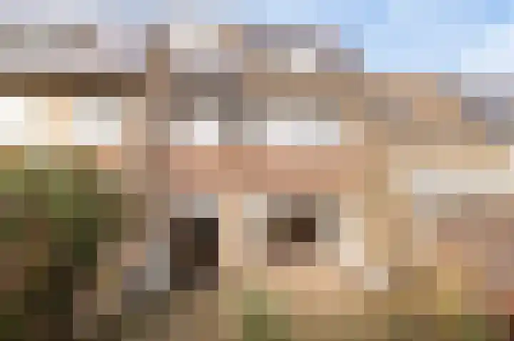 Akelei 38 Culemborg thumbnail 17