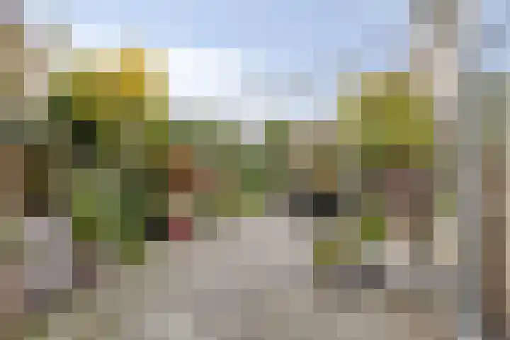 Akelei 93 Kampen thumbnail 39