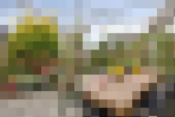 Akelei 93 Kampen thumbnail 41