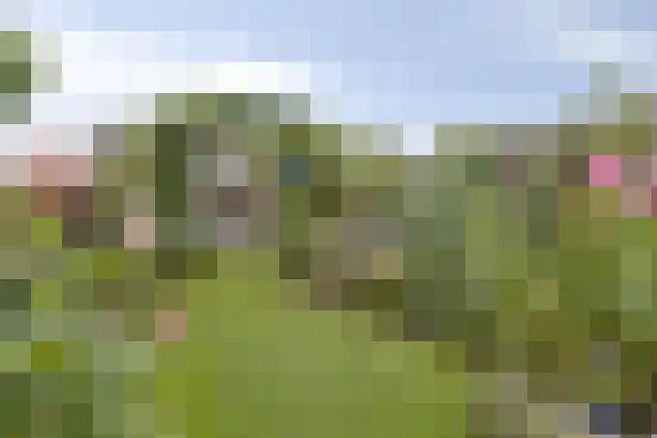 Akelei 93 Kampen thumbnail 42