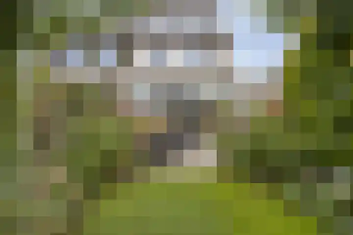Akelei 93 Kampen thumbnail 45