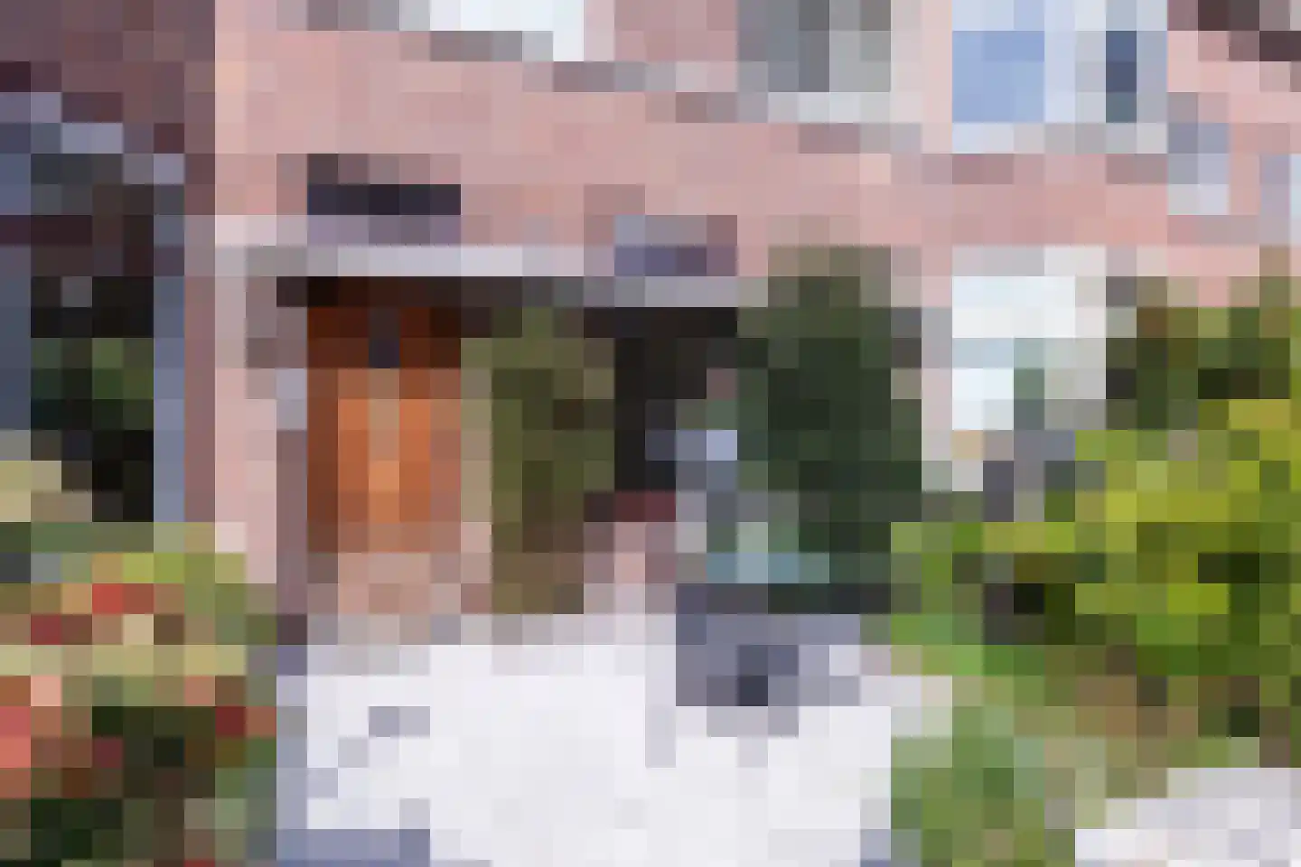 Akeleistraat 101 Den Haag thumbnail 36