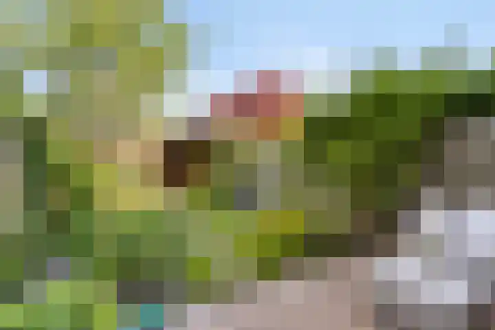 Akeleiweg 70 e Groningen thumbnail 28