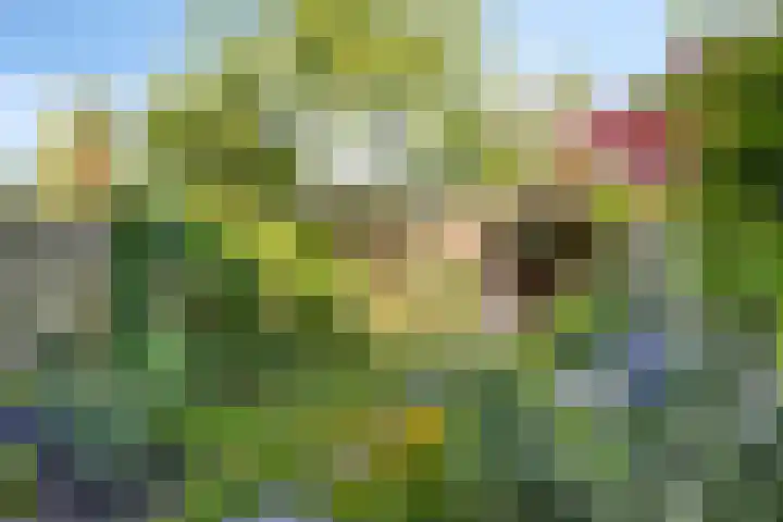 Akeleiweg 70 e Groningen thumbnail 29