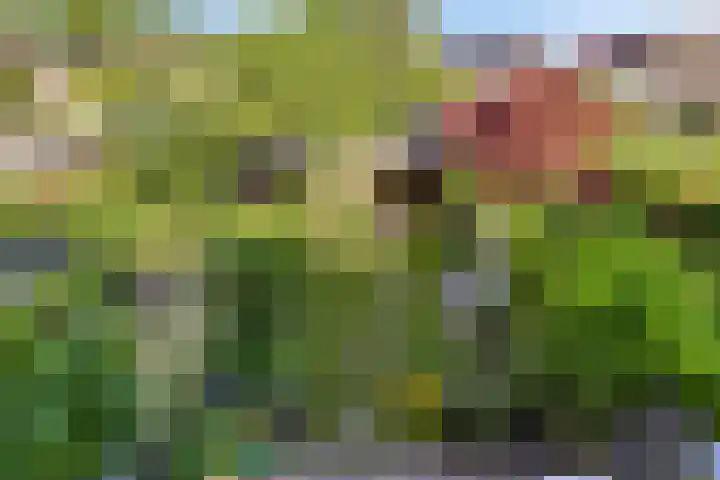 Akeleiweg 70 e Groningen thumbnail 30
