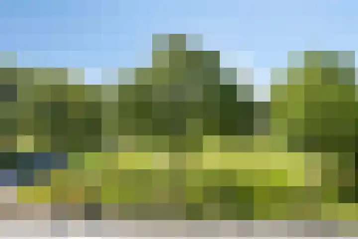 Akeleiweg 70 e Groningen thumbnail 33