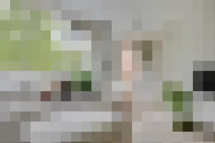 Akker 159 De Bilt thumbnail 12