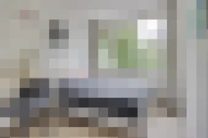 Akker 159 De Bilt thumbnail 22