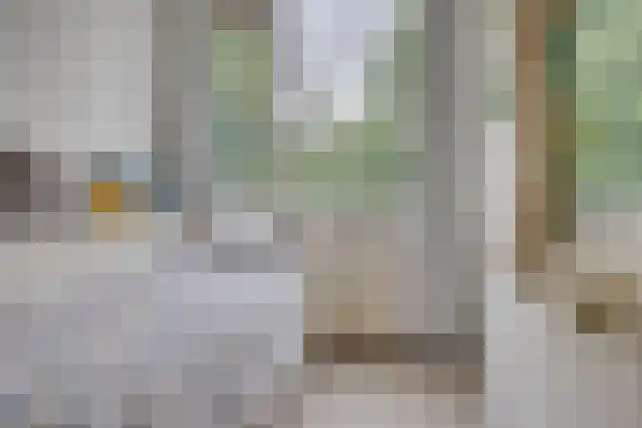 Akker 159 De Bilt thumbnail 27