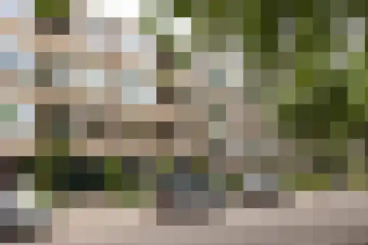 Akker 159 De Bilt thumbnail 29