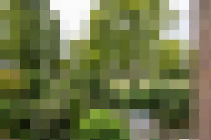 Akker 159 De Bilt thumbnail 31