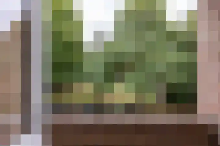 Akker 159 De Bilt thumbnail 5