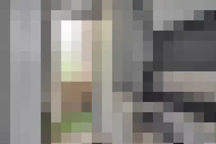 Akker 165 De Bilt thumbnail 11