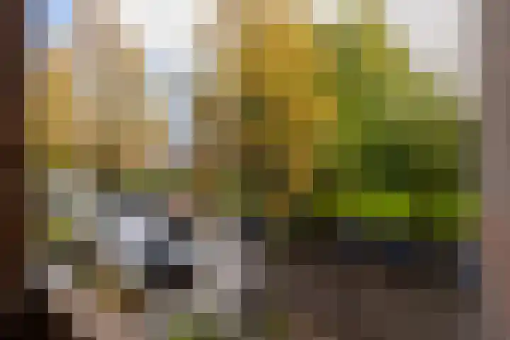 Akker 165 De Bilt thumbnail 12