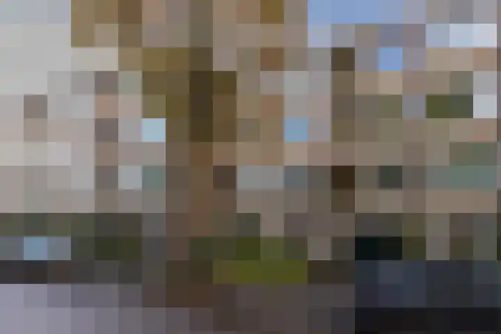 Akker 165 De Bilt thumbnail 27